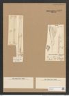 Homoeocladia martiana var. div. Ag. (de-Toni-Nr.: Genus 48, Species 2182) Zeichnungen Sammlung Grunow Nr. 4575 (NHMW-BOT-W0372584)